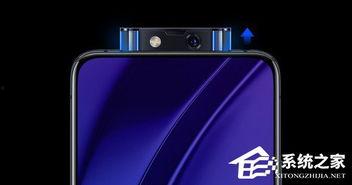 2019国产自怕视频