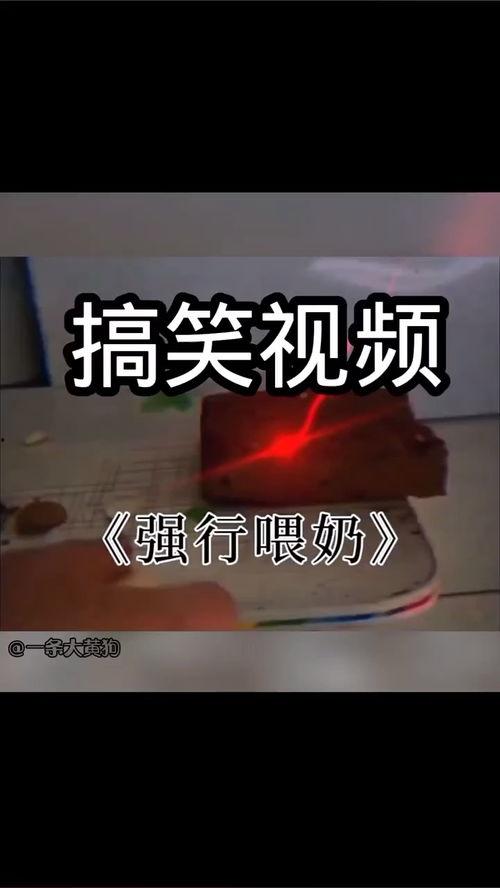 国产孝子搞笑视频,国产孝子搞笑视频，温情与幽默交织的感人瞬间