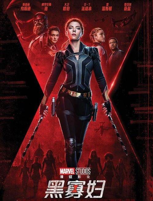 国产黑寡妇电影解说视频,国产动作片的崛起与突破