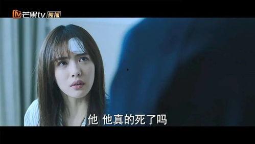 已拍视频国产在线观看,重温经典，品味光影魅力