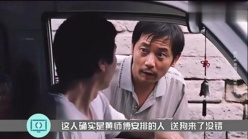 国产年人视频,传承与创新的中国传统文化盛宴