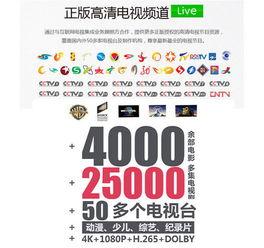 欧美国产tv视频,本土文化魅力与全球视野的完美融合